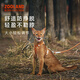 ZOOLAND cat traction rope to prevent break-away, walk large and small kittens, good-looking, lengthened, adjustable I-shaped chest and back, red tea orange L-recommended 5-16 Jin Jin equals 0.5 kg