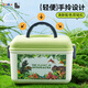 
Toys City of R Children's Dinosaurs Toys 25 Jurassic Simulation Animal Set Tyrannosaurus Rex Soft Gel Model Children's Day Gift 25 Dinosaurs [Bottle] 14079