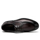 Goldlion men's shoes winter new men's thick-soled formal leather shoes men's round-toe business casual shoes plus velvet warm cotton shoes men's trendy brown lace 58093041040A 41