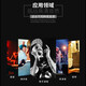 SENNHEISER森海塞尔E825 835 845S 935 945 965麦克风直播K唱歌演出弹唱话筒 E965+2米卡侬线【正品全新】