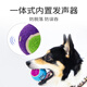 GiGwi dog toy tennis ball with sound, teeth grinding, chewing resistance, sound, medium and large dog toy ball, pet toy ball, medium size