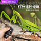 Shantoulin Village Пульт дистанционного управления Mantis Electric Toy Scrank Artifact Tockroach Boy движется к паукам