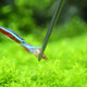 Crazy Water Grass (FKSC) FKSC Water Grass Clip Scissors Scrapers Flat Sand Scraper Fish Tank Supplies Maintenance Tool Landscaping Tool Maintenance Package 2