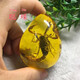 Congdie real insect amber water drop neck pendant scorpion butterfly necklace men and women jewelry spider bee rough stone butterfly double-sided polished pendant