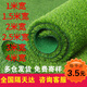 Hanoufei Lawn Carpet Mat Simulation Decoration Fake Turf Fake Grass Green Artificial Artificial Outdoor Kindergarten 2cm Spring Grass Standard Style 50 Square