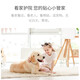 xiaovv Smart Gimbal Camera Home Home Indoor Mobile Phone Remote Monitor Home Monitor Living Room может поговорить с панорамным офисом на 360 градусов.
