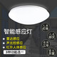 雷雷智光 声控灯LED雷达人体感应灯声光控吸顶灯楼道楼梯走廊工程车库灯 21CM LED6W声光控