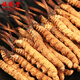 Fuxitang Tíbet Nagqu Cordyceps Cordyceps Precio de gran altitud de 1 Cordyceps Cordyceps 4 raíces/gramo de tamaño de 1 raíz
