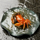 Rongcheng purple sand tea pet color changing tea pet tea table tea tray small crab ornaments creative tea toys can raise personalized tea set purple sand color changing tea pet crab