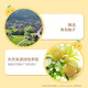 
Siyu (syoss) Shampoo, Grapefruit Oil Control Fluffy Shampoo 420ml Anti-dandruff Scalp Refreshing Shampoo