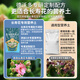 Dewoduo longevity flower special nutrient soil 15L gardening green plant potted flower soil organic composite matrix planting soil
