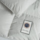 Hengyuanxiang Quilt Core Antibactérien Antibactérien Goie Velvet Couette blanche GOOSE VELVET CHAUD ANTI-DIAMOND VELVET AUTUM