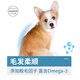 Okaman Corgi special dog food, general-purpose natural food for adults and puppies, Corgi 40 Jin Jin equal to 0.5 kg, Corgi adult dog special food 40 Jin, Jin equal to 0.5 kg.