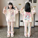 Mianyue Children Pyjama für Frauen 3 bis 6 Jahre alt Kinder Frühling und Herbst Langhülle Dünne mittelgroße Kinder Mädchen Prinzessin Baby Cartoon Set 1421 100 cm -8 Größe Höhe