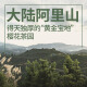 修哲乌龙茶台湾高山冻顶浓香特级256g礼盒装茶叶无农残128g*2盒