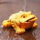 Haofeng Tea Pet Ornaments 2025 New Complete Tea Set Household Tea Ceremony Accessories Color Changing Fortune Mid-Autumn Festival Gift A Style Color Changing Golden Toad 8*11cm