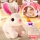 Yimi Children's Girls House jugando juguetes eléctricos con el conejo eléctrico muñeca para mascotas 3-6 cumpleaños regalo