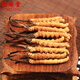 Fuxitang Tíbet Nagqu Cordyceps Cordyceps Precio de gran altitud de 1 Cordyceps Cordyceps 4 raíces/gramo de tamaño de 1 raíz