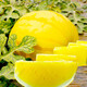 Dayu Yellow Heart Watermelon Seeds, Early Maturity, Yellow Skin, Red Flesh, Yellow Flesh, Special Xiaofeng Watermelon Seeds, Southern Fruit, Huang Meiren, Yellow Skin, Yellow Flesh Watermelon Seeds, 20 capsules, 2 bags
