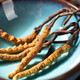Lei Yunshang [Official] [Naru Qu, Tibet] Cordyceps Подарки и подарки для подарков для продуктов для здоровья, основная производственная зона Аутентичные Cordyceps - 5 корней/G 10G Около 50 корней