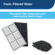 PetSafe Drinkwell Premium Replacement Carbon Filters 12