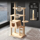 Pet Beya Pet Beya Cat Climbing Frame Cat Nest Cat Tree All-in-One All Solid Wood Does Not Take Up Small Cat Shelf Space Capsule Large Household Solid Wood Column Z1
