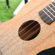 Andrew (Andrew) Ukulele 23-Zoll-Gitarren-Anfänger-Kinder Ukulele 23-Zoll [Undersea World] Geschenktüte
