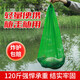 Mi Lan portable simple fish protection fish nylon mesh bag quick-drying mesh bag mini small fish protection thickened 50 size one pack