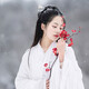 LANSILL ancient style hairpin plum blossom tassel step-shape hairpin practical Valentine's Day birthday gift for girlfriend and wife F1481 Aoxue Hanmei hairpin exquisite gift box