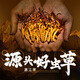 源江草冬虫夏草高洁净虫草3根/g 1克养生滋补品体验装【好滋补认证】