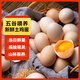 Local eggs, grain-fed, farm-raised fresh eggs, about 40g, breakfast Jingdong fresh soft-boiled eggs, 2 pieces 40-50 Local eggs, grain-fed, farm-raised fresh eggs, about 40g, breakfast Jingdong fresh soft-boiled eggs, 2 pieces 40-50