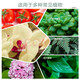 Yara Norwegian compound fertilizer imported Yara Miao Le flower fertilizer vegetable fertilizer fruit tree fertilizer multi-meat fertilizer general fertilizer nitrogen phosphorus potassium urea Norwegian compound fertilizer fast-acting type 5Jin Jin equals 0.5 kg