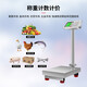Yongcai stainless steel weighing electronic scale waterproof platform scale 150KG commercial folding platform scale price scale 300kg electronic scale industrial counting scale stainless steel waterproof LCD large screen display 150KG