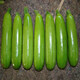 Zucchini seeds, small melon seeds, easy-to-grow vegetable seeds in spring and autumn, balcony potted field vegetable seeds, zucchini seeds, 1 pack, about 20 seeds