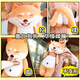 Magic Dragon Cute Sleeping Plush Toy Dog Doll Rag Doll Girl Sleeping Long Pillow Doll Cute Puppy Dog Rag Doll Birthday Gift for Girls Husky 60cm