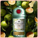 
Add to Li TANQUERAY Original imported foreign wine self-drinking gin wine base wine mix gin gin wine lemon flavor gin wine 750ml