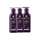 吕（Ryo）紫吕强韧防断健爽控油洗护套装 洗400ml*2+护400ml