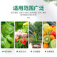 Urea fertilizer for growing vegetables, organic fertilizer, quick-acting nitrogen fertilizer, chemical fertilizer, general compound fertilizer for flowers, agricultural water-soluble fertilizer, large particle urea 5Jin Jin is equal to 0.5kg