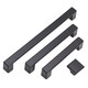 Preda Kabinettstür-Handle moderne einfache schwarze Schrankgarderobe verlängerte Türgriffe Schublade Einloch Haushalt Hardware Griff 6225b-64 mattschwarz