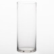 Shengshi Taibao glass vase transparent vase hydroponic container large vase new home living room desktop decoration straight style 1230