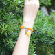 Her generation beeswax bracelet amber chicken fat yellow Pixiu jade shell bracelet birthday with certificate 8MM beeswax (866003)