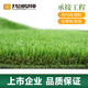 Co-create lawn, co-create artificial grass 10 square meters plastic turf, kindergarten gym greening outdoor courtyard school football field fake grass 30mm thickened encryption upgrade (autumn grass)