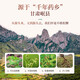 太守堂 黄芪100克【中大片】甘肃岷县中药材北黄芪当归片红枸杞红枣煲汤
