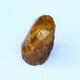 Artificial amber specimens, small animal living raw stones, real gecko lizards, beeswax amber fossil ornaments, picture color