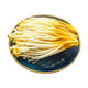 Golden Needle Mushroom 200g