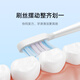 Mijia Xiaomi Sonic Electric Toothbrush Head (Full Whitening Type) 2 Pack White