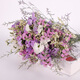 Love Yunnan Forget-Me-Not Dried Flowers Flower Ornaments Living Room Decoration Real Flower Arrangement Gypsophila Bouquet Festival Birthday Match White Light Purple Pink + Citrine + Grass About 30 pcs