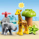 LEGO LEGO La serie Duplo de los personajes de cuento de hadas de LEGO Bloques de construcción reunidos Regalo de cumpleaños de los juguetes para niños 10971 African Wild Animals