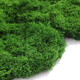 Simulated moss turf landscaping, bionic fake moss micro-landscape layout ornaments, lawn bonsai, potted plants, pavement decoration, extra-large stone moss type A, 4 pieces