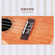 Ukulélé du fusion ukulélé vignette complète en acajou complet Small Guitar Muc700 Sabiliwood 23 pouces